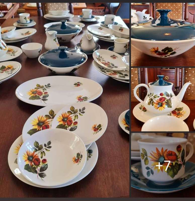 Dinner Set plus Serving Ware and Tea / Coffee Set in the Lovely Carolina Design - Ridgway Ironstone