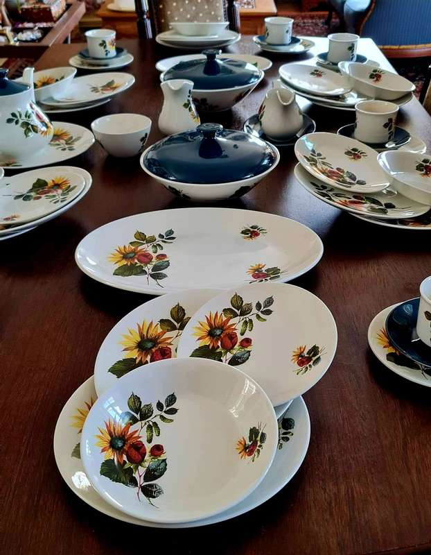 Dinner Set plus Serving Ware and Tea / Coffee Set in the Lovely Carolina Design - Ridgway Ironstone