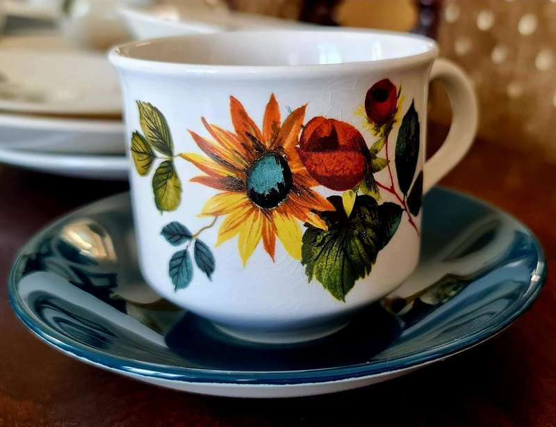 Dinner Set plus Serving Ware and Tea / Coffee Set in the Lovely Carolina Design - Ridgway Ironstone