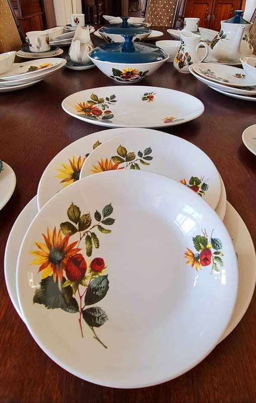 Dinner Set plus Serving Ware and Tea / Coffee Set in the Lovely Carolina Design - Ridgway Ironstone