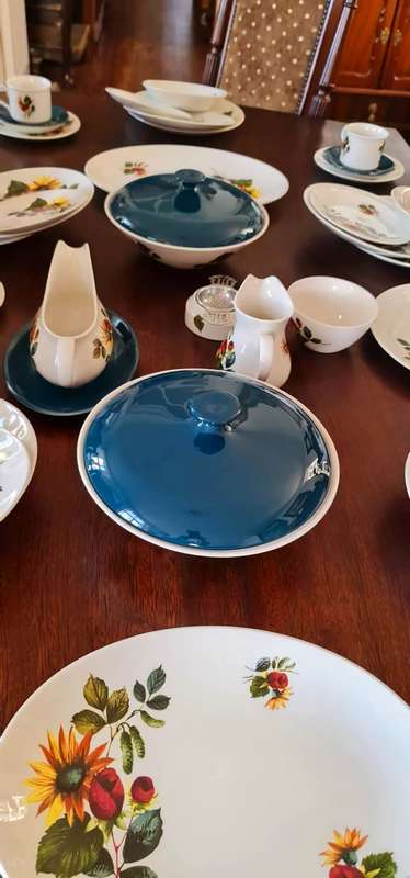 Dinner Set plus Serving Ware and Tea / Coffee Set in the Lovely Carolina Design - Ridgway Ironstone