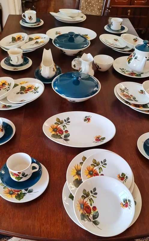 Dinner Set plus Serving Ware and Tea / Coffee Set in the Lovely Carolina Design - Ridgway Ironstone