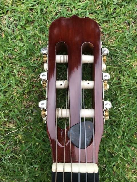 CATALUNA SGN 4040 WOODEN ACOUSTIC GUITAR