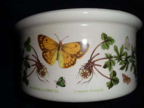 PORTMEIRION BOTANIC GARDEN BOWL