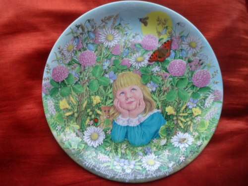 BEAUTIFUL DAVENPORT DECORATIVE PLATE