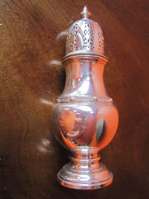 SILVER SUGAR CASTOR