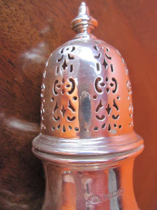 SILVER SUGAR CASTOR