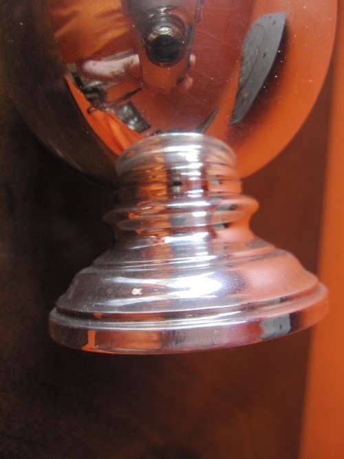 SILVER SUGAR CASTOR