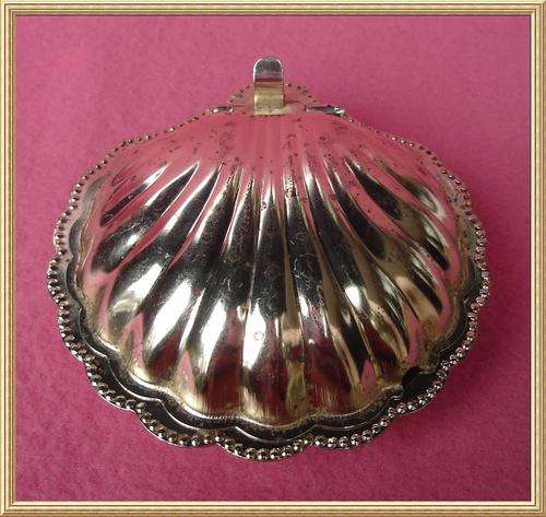 Shell Shape Buttle Dish with Milk Glass Liner from Blisful