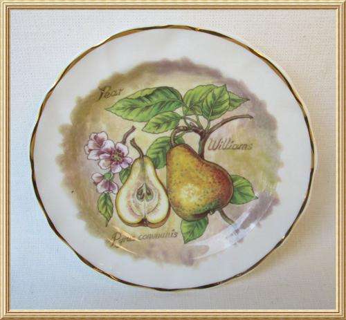 English Staffordshire Fenton China " William Pear - Pyrus communis " Plate from Blisful