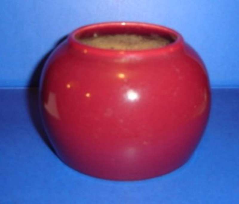 DROSTDY POSY HOLDER from BLISFUL
