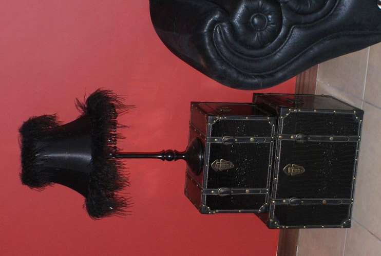 Feather Lamp