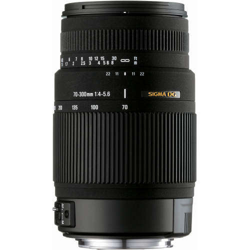 CANON DSLR CAMERA + FLASH + 70-300mm SIGMA Lens