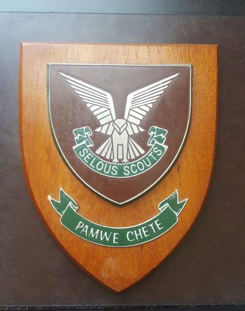 Rhodesian Selous Scouts Plaque(Reserved for Ian only)