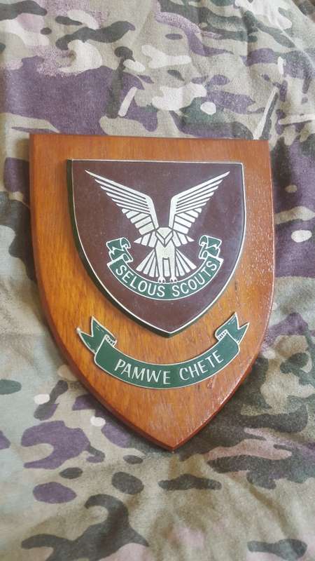 Rhodesian Selous Scouts Plaque(Reserved for Ian only)