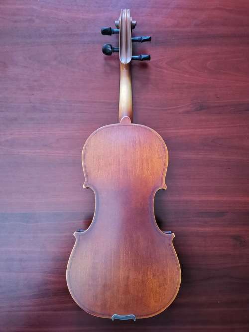 Violin with carry case