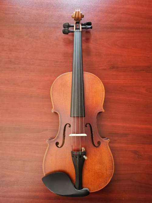 Violin with carry case