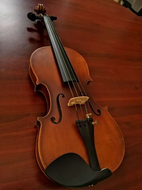 Violin with carry case