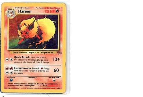 flareon shiny jungle