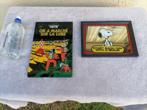 2 COMIC WALL ART - SNOOPY 1958 - TINTIN