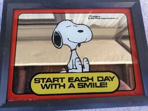 2 COMIC WALL ART - SNOOPY 1958 - TINTIN