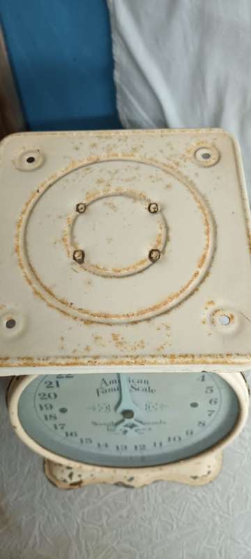 Vintage American Family Scale
