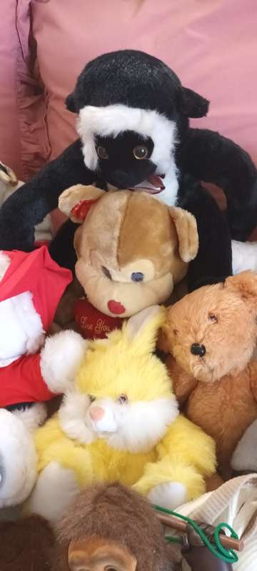 Whole lot of 41 stuffed animals ****R3000 market value!!!****