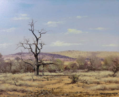 Francois Badenhorst Landscape - Investment Artwork