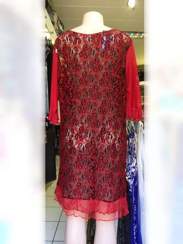 Beautiful Sheer Lace Tunic 3/4 Sleeve See-Through Sizes 36 - 46