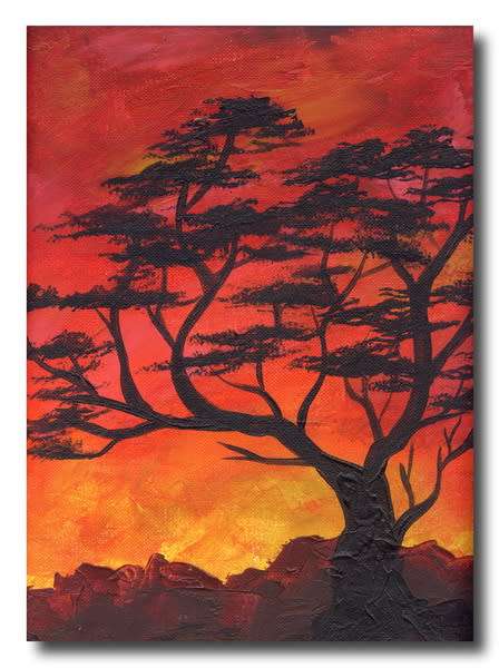 Baie Besonders!!! Afrika Sonsondergang