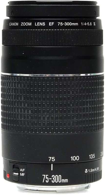 Canon EF 75-300mm f/4-5.6 III Zoom Lens for Canon SLR Cameras