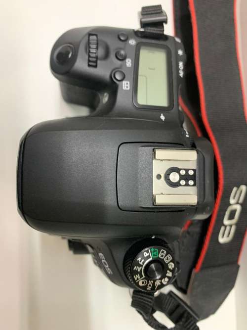 CANON EOS 77D DSLR Body Camera