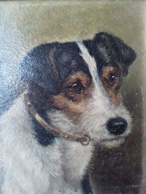 Antique Edward Aistrop (1880-1920) Signed `Portrait of a Fox Terrier`. Oil on Board. 31 x 27cm