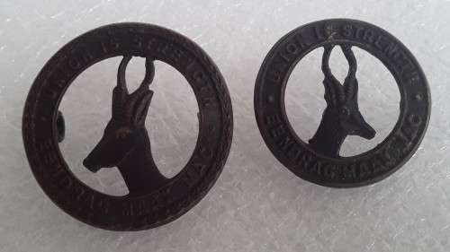 2 x SA Army `Union is Strength` Badges. Lugs intact.