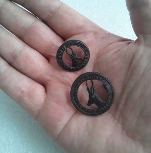 2 x SA Army `Union is Strength` Badges. Lugs intact.