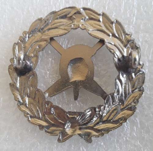 SA Fire Brigade Cap Badge. Lugs intact.