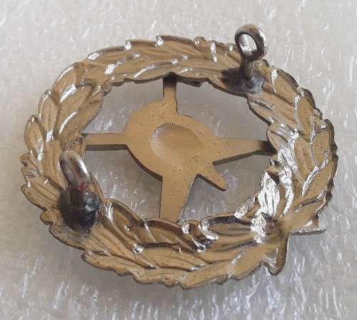 SA Fire Brigade Cap Badge. Lugs intact.