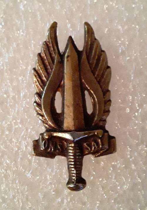 Regiment Northern Transvaal Beret Badge. `ONS SAL`. Pins intact