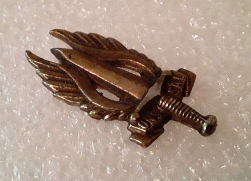 Regiment Northern Transvaal Beret Badge. `ONS SAL`. Pins intact