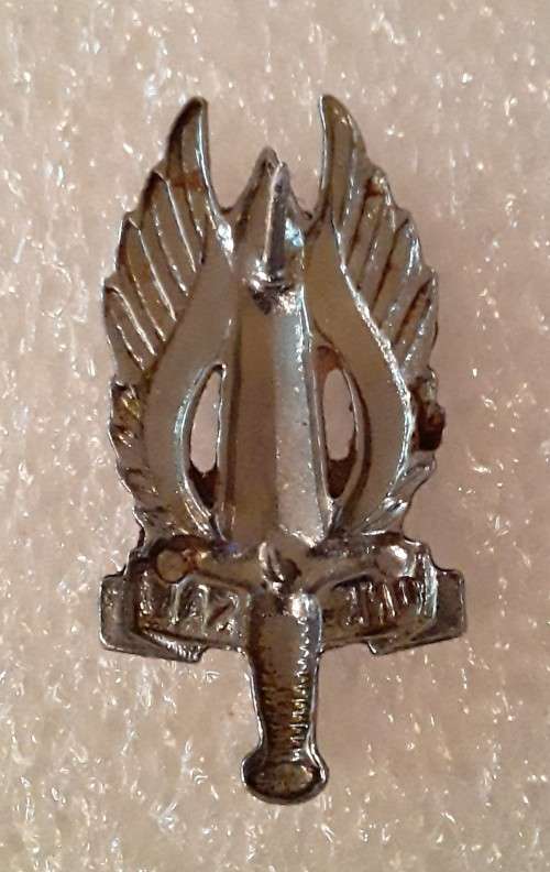Regiment Northern Transvaal Beret Badge. `ONS SAL`. Pins intact