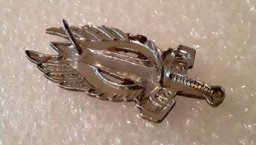 Regiment Northern Transvaal Beret Badge. `ONS SAL`. Pins intact