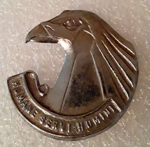 SA Personnel Service Corps Badge Set. 1 x Cap. 1 x Collar. Lugs and pins intact.