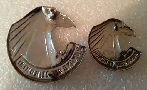 SA Personnel Service Corps Badge Set. 1 x Cap. 1 x Collar. Lugs and pins intact.