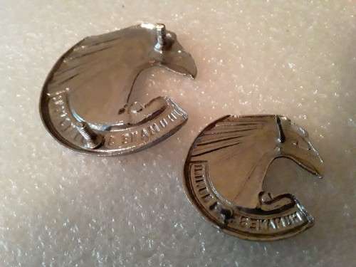 SA Personnel Service Corps Badge Set. 1 x Cap. 1 x Collar. Lugs and pins intact.