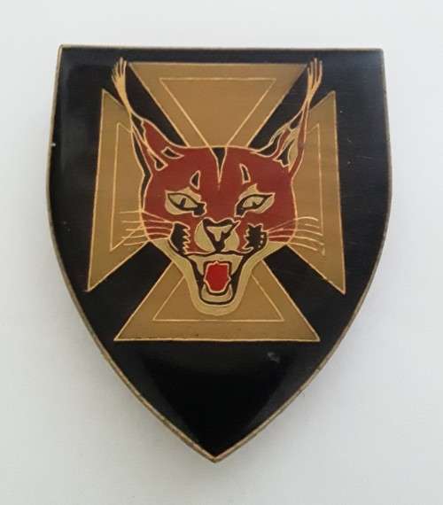 SADF 7 SAI (Infantry) Battalion Shoulder Flash (all pins intact).