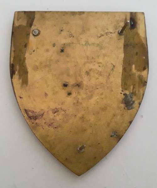 SADF 35 Engineer Support Unit Shoulder Flash (2 pins intact).