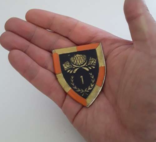SADF 1 Special Service Battalion Shoulder Flash (no pins, damaged at one corner).