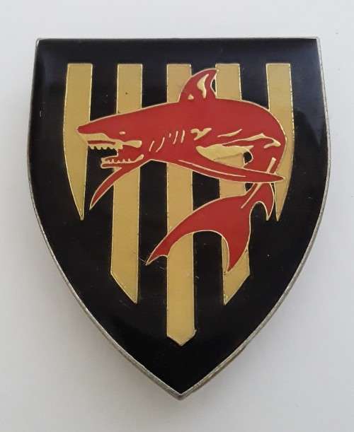 SADF Umgeni Commando Shoulder Flash (all pins intact).