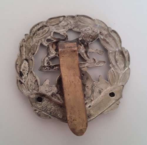 British Royal Hampshire Regiment Cap Badge.  Slide Intact.