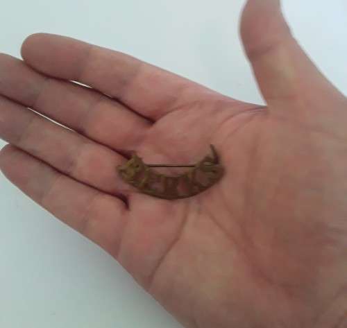 Early Berkshire Regiment Brass Shoulder Title.  Lugs Intact.